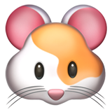 Hamsteri
